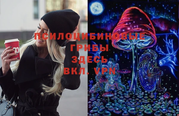 хмурый Инта