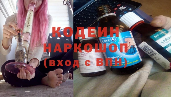 мдпв Инсар