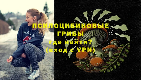 ECSTASY Алзамай