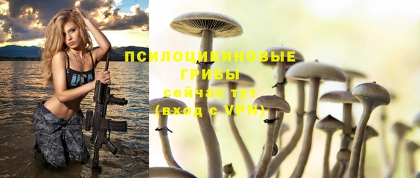 ECSTASY Алзамай