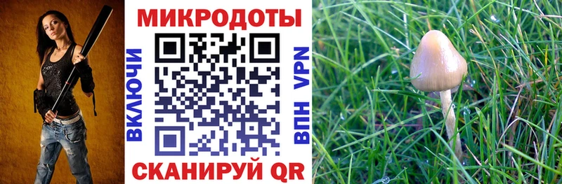 хочу   Феодосия  гидра маркетплейс  Псилоцибиновые грибы MAGIC MUSHROOMS 